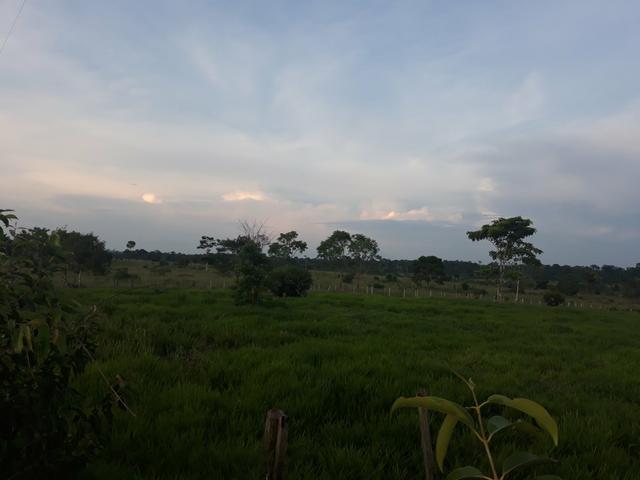 Terra/Colônia na BR 364 km 32 - Foto 5