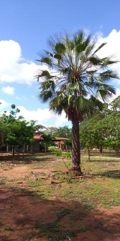 Chácara no Sitio Bom Destino, Estrada de Alagoinha. 10 km de Mossoró - Foto 13