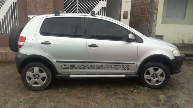 Cross fox conservado