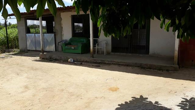 Vende-se um sítio em santa casa mirueira Paulista - Foto 10