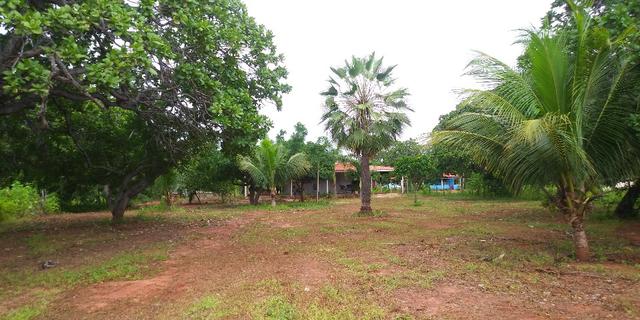 Chácara no Sitio Bom Destino, Estrada de Alagoinha. 10 km de Mossoró - Foto 10