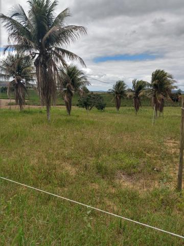 Vendo 7 alqueires Nova Venécia - Foto 6