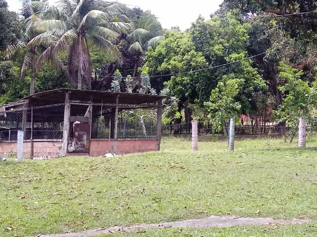 Fazenda, Água Fria, Bahia - Foto 3