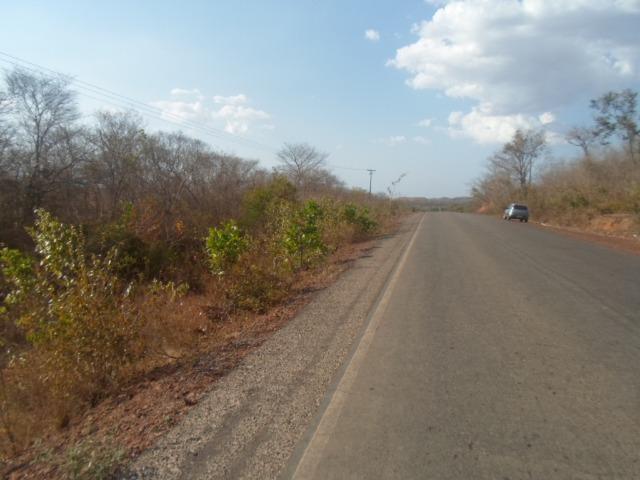 Terreno na BR-PI 214 Luzilândia/Esperantina - Foto 3
