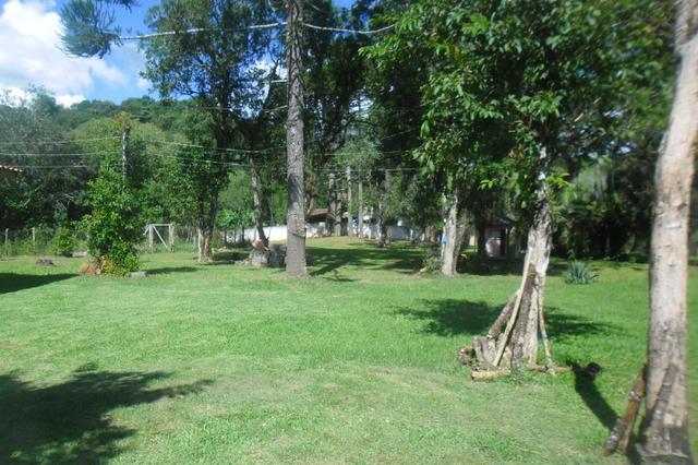 Vende-se chácara em cai de baixo - Quitandinha (cód. A289) - Foto 2