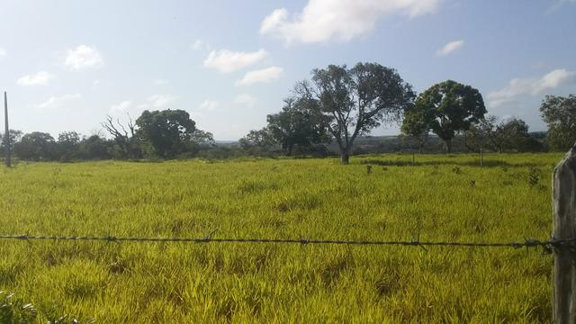 Terreno - Foto 2