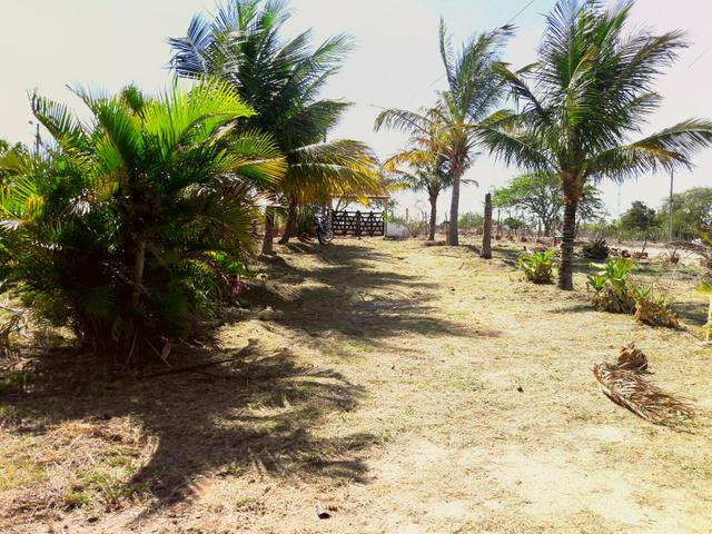 Sitio na Vila de Peladas em Caruaru - Foto 6