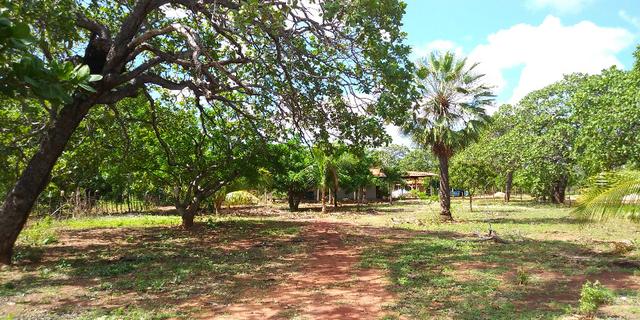 Chácara no Sitio Bom Destino, Estrada de Alagoinha. 10 km de Mossoró - Foto 12