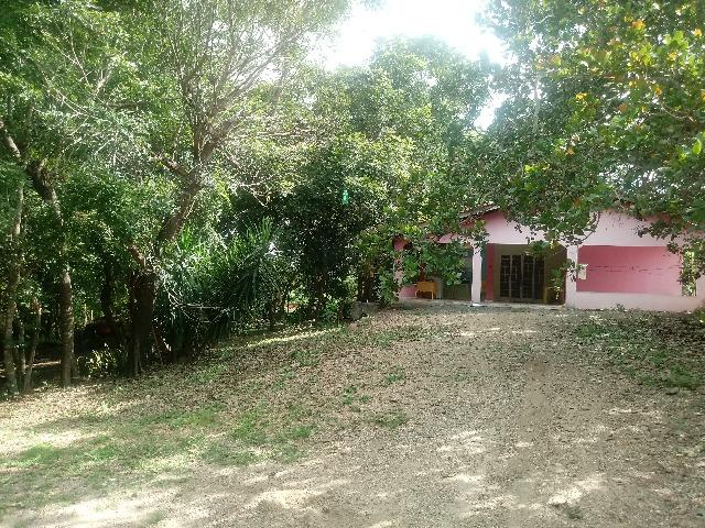 Vendo Chácara - Entre Guia e Acorizal - Rio Cuiabá - Foto 3