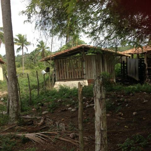 Excelente - Fazenda Espopa - Foto 4