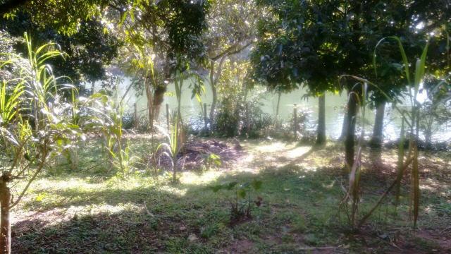 Casa para aluguel, 2 quartos, 10 vagas, Alvarenga - São Bernardo do Campo/SP - Foto 11