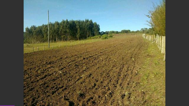 Propriedade rural - Foto 3
