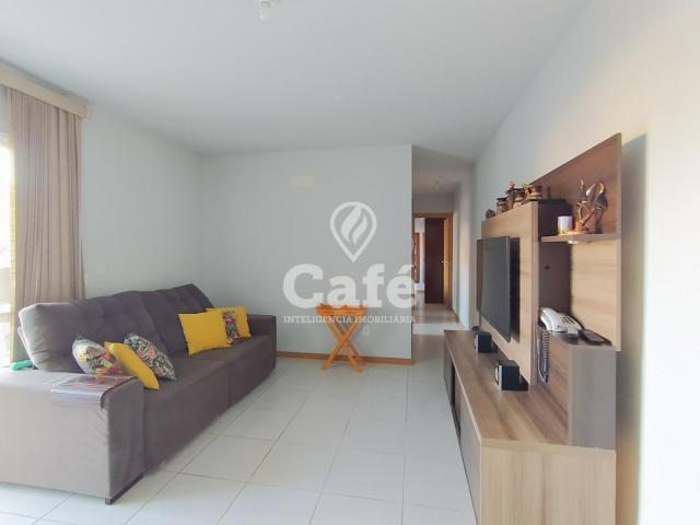 Apartamento de 2 dormitórios, sala, cozinha e área de serviço. - Foto 3