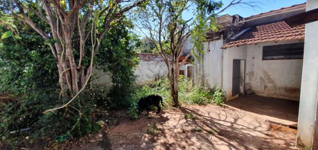 Casa à venda com 5 dormitórios em Jardim antartica, Ribeirao preto cod:V13283 - Foto 10