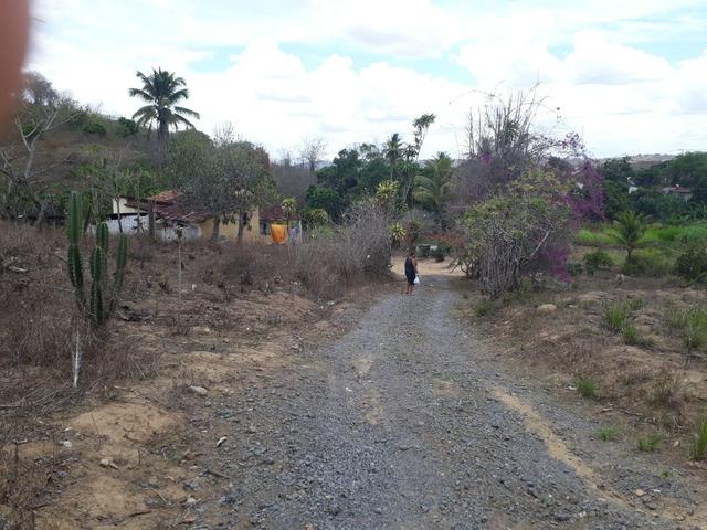 Vende-se um sítio em bom jardim - Foto 11