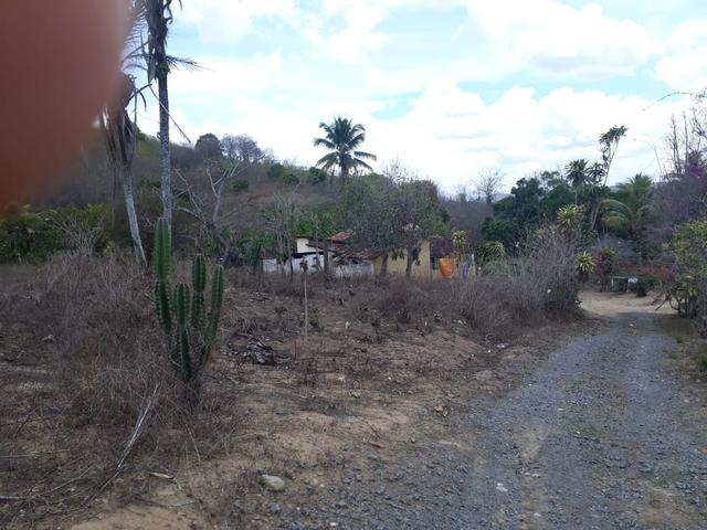 Vende-se um sítio em bom jardim - Foto 8