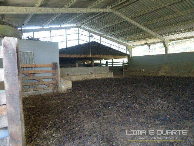 Chácara à venda com 2 dormitórios em Rio mandioca, São bento do sul cod:62CH - Foto 16