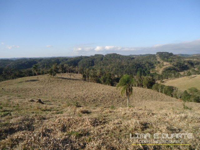 Chácara à venda com 0 dormitórios em Serra alta, São bento do sul cod:194CH - Foto 17