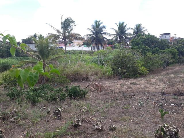 Vende-se um sítio em bom jardim - Foto 3