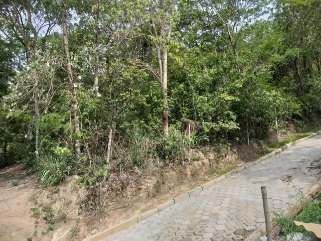 Vianópolis- Chácara 1000m - R$ 95.000,00 - Foto 4