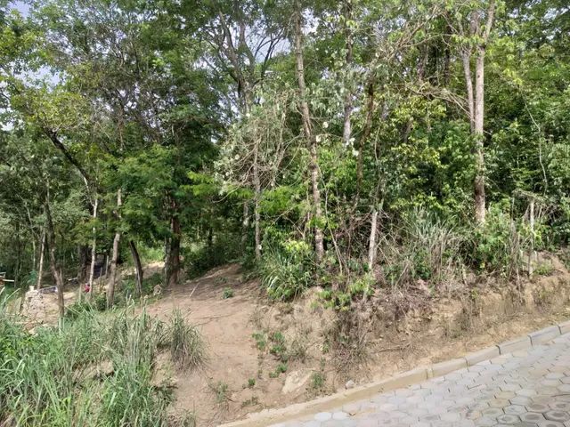 Vianópolis- Chácara 1000m - R$ 95.000,00 - Foto 3