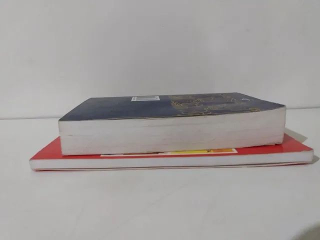 2 Livros - Deus Fala A Seus Filhos - Bíblia Sagrada-Novo Testamento Edição Pastoral  - Foto 2