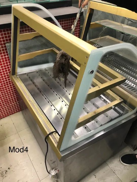 VITRINE EXPOSITORA mod4 AQUECIDA COM DIVISÓRIAS VIDRO CURVO - Foto 3
