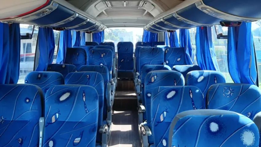 Volare  2016 - Foto 5