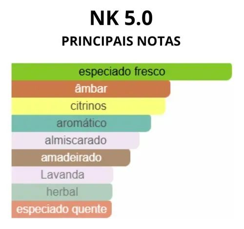 Nk 5.0 Eau De Parfum Nk Perfumes Masculino 100ml - Foto 3