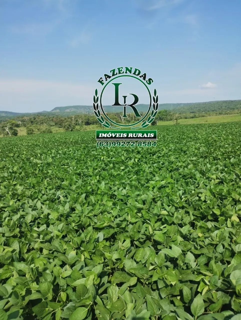 Fazenda de 378 Alqueires, Agricultura/Pecuária - Foto 2