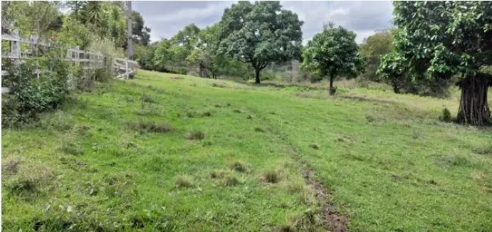 Vende-se fazenda em Catú/Ba com 313 tarefas para agricultura ou pecuária. - Foto 3
