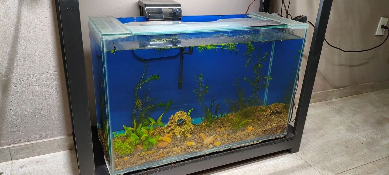 Aquário 120 Litros completo  - Foto 3