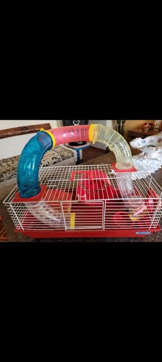 Gaiola para Roedores com Túnel