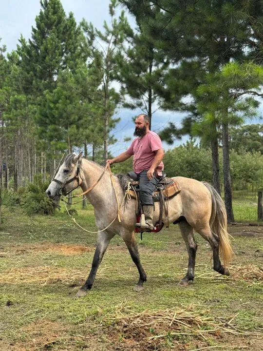 EXCELENTE POTRO QUARTO DE MILHA GARANHÃO. - Foto 4