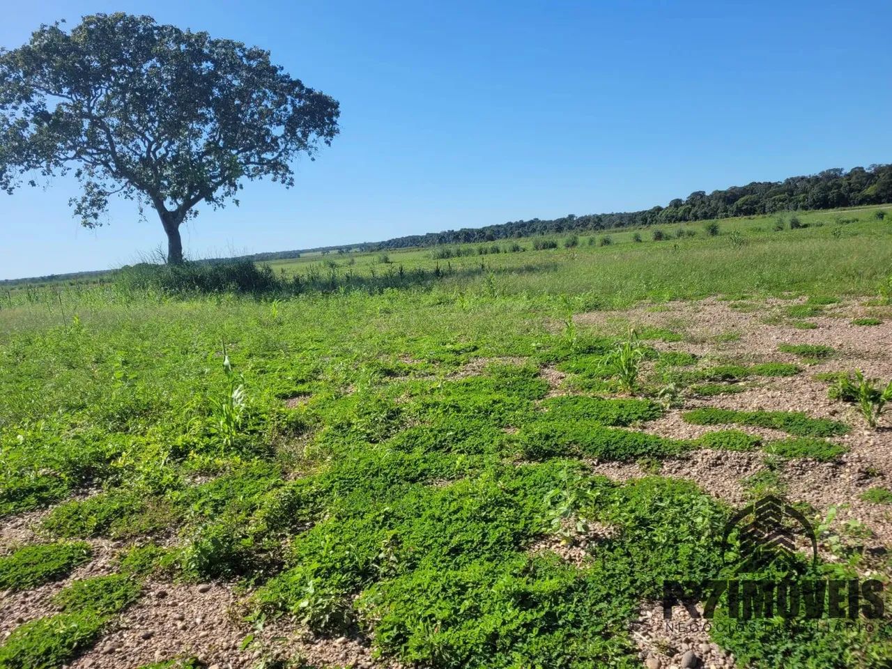 FAZENDA EM LAGOA DA CONFUSÃO  TO - Foto 2