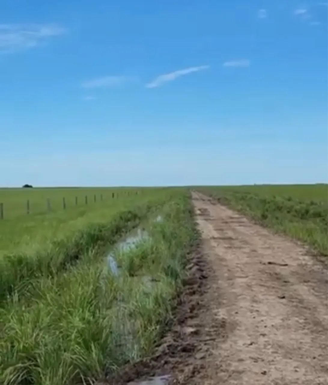 Fazenda Corumbá 2002 hectares  - Foto 2
