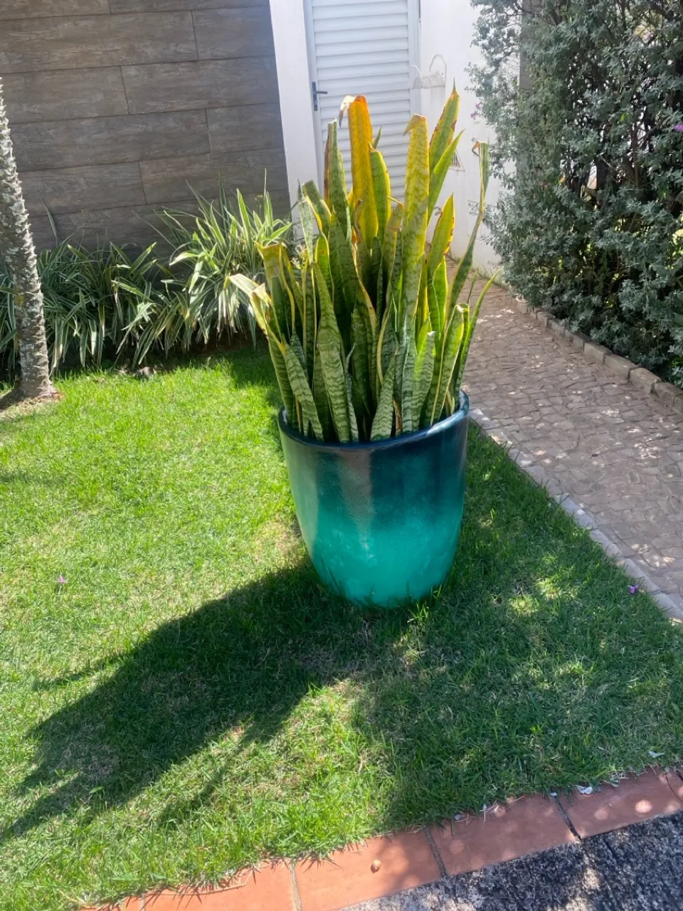 Vaso de Planta em Cerâmica com espada de São Jorge