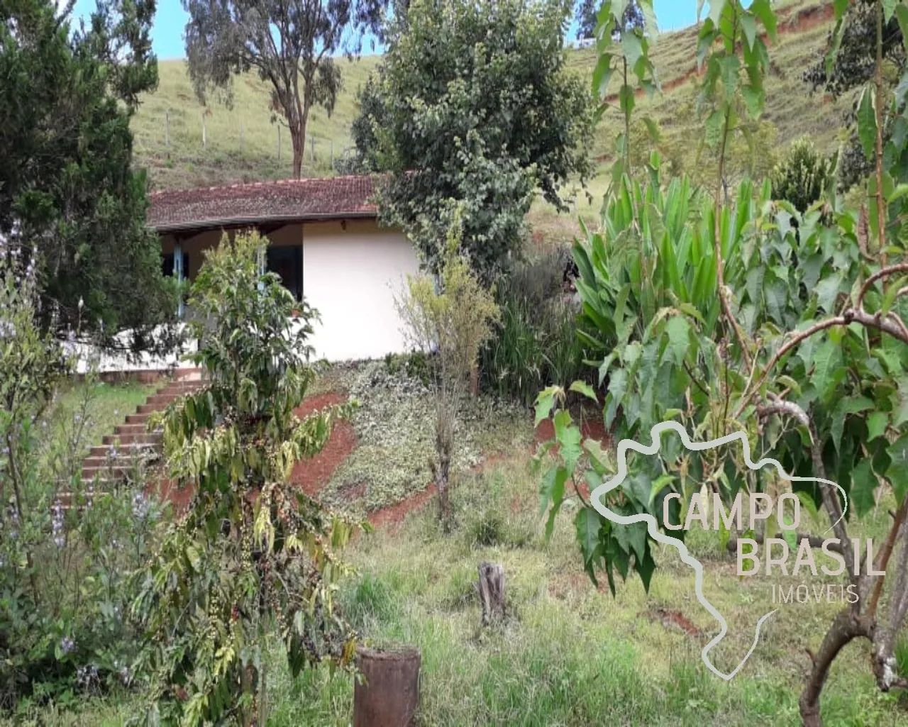 Chácara à venda com 2 dormitórios em Centro, Santo antonio do pinhal cod:CH00252 - Foto 4