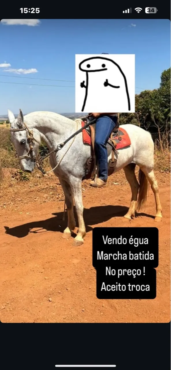 Égua mangalarga