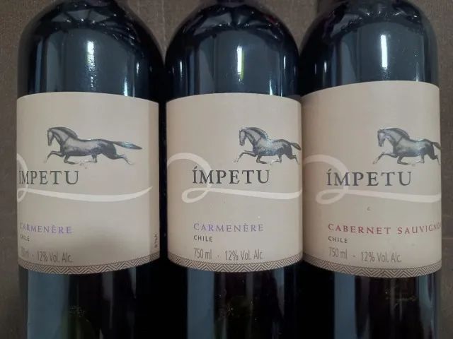 Nove (9) Garrafas - Vinho Tinto - Comprados na Wine - Bebidas  - Foto 2