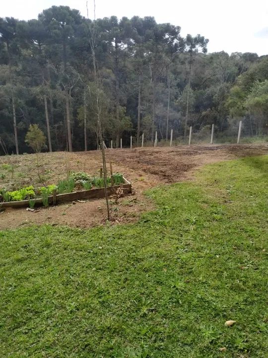 Chacara em Mandirituba - Foto 14