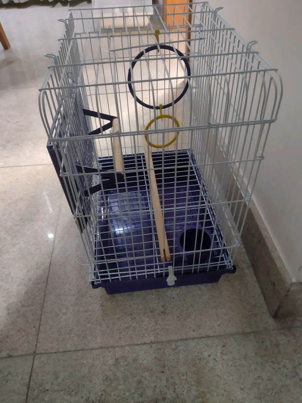 Gaiola para Calopsita Júnior  - Foto 2
