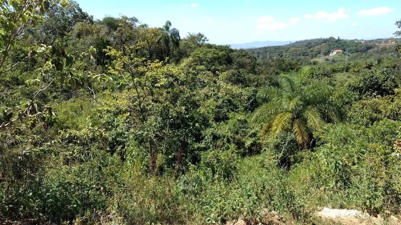 Lote - Terreno à venda, 20 vagas, Veneza - Ribeirão das Neves/MG - Foto 5