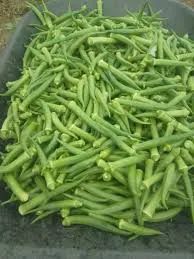 Quiabo Verde - Foto 2