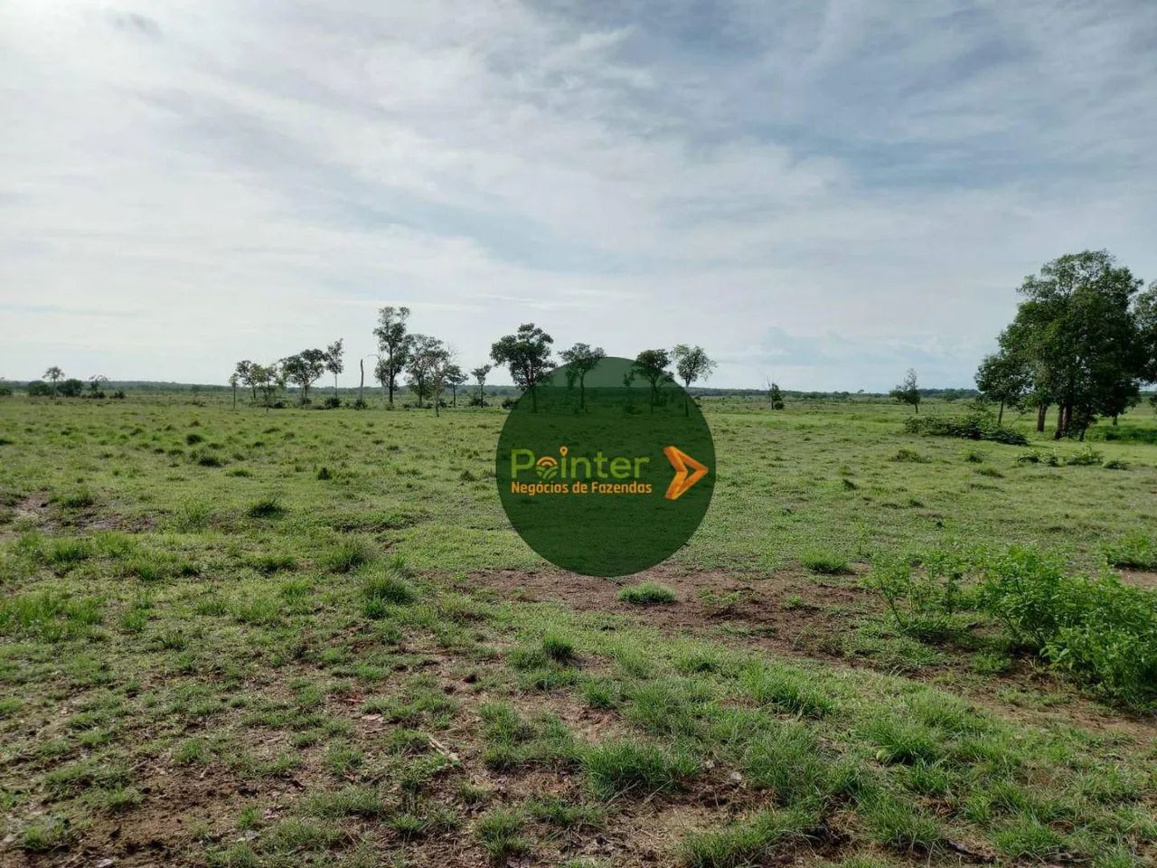 Fazenda à venda, por R$ 12.000.000 - Zona Rural - Cristalândia/TO - Foto 2