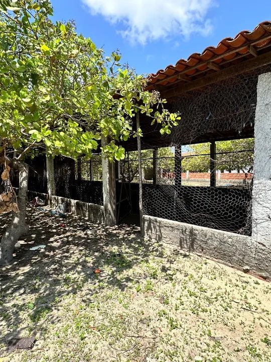 FAZENDA PRODUTIVA EM GUANACÉS  R$1.200.000,00 - Foto 2