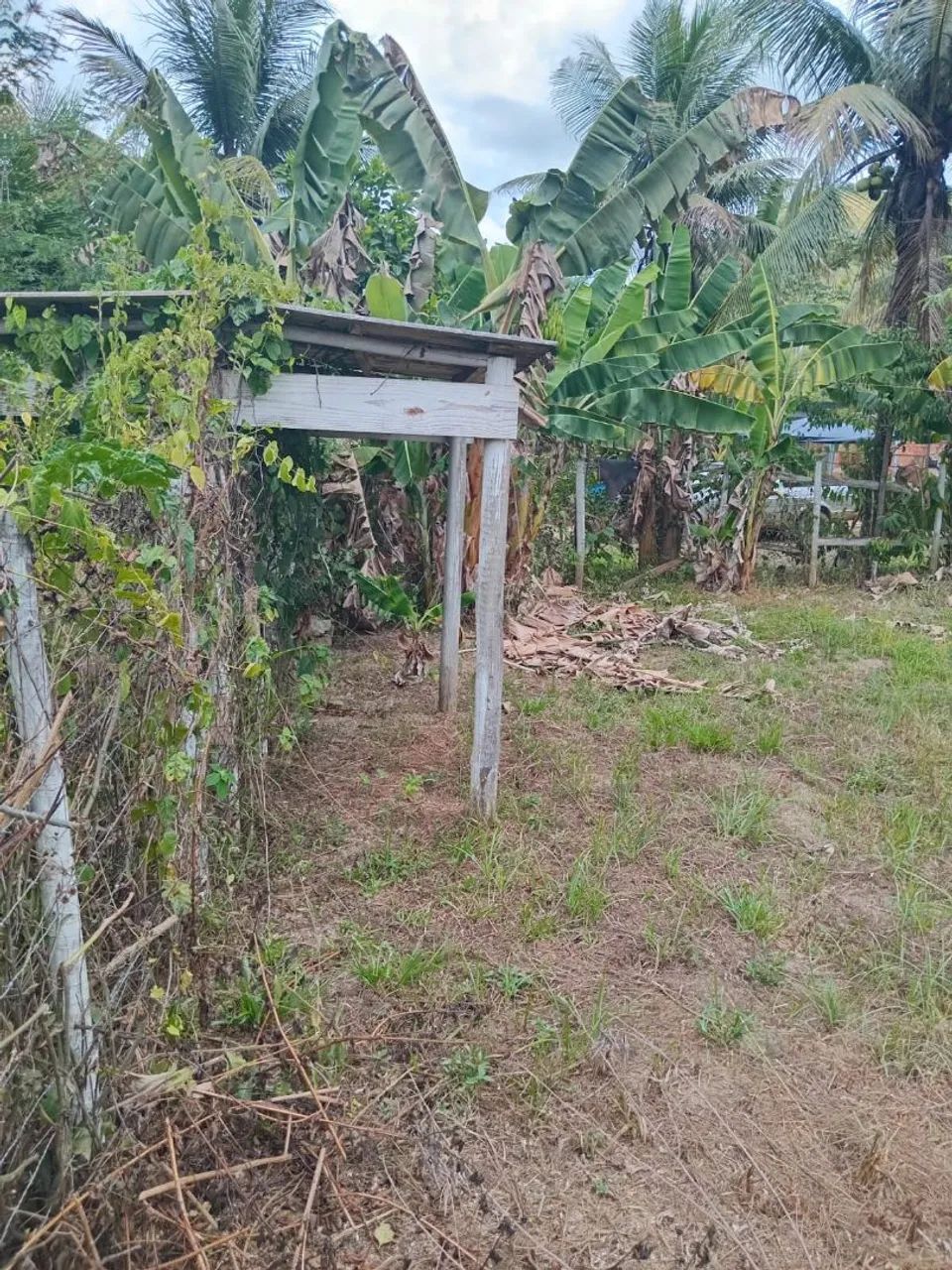 Vendo terreno [ BICUDA PEQUENA ] - Foto 4