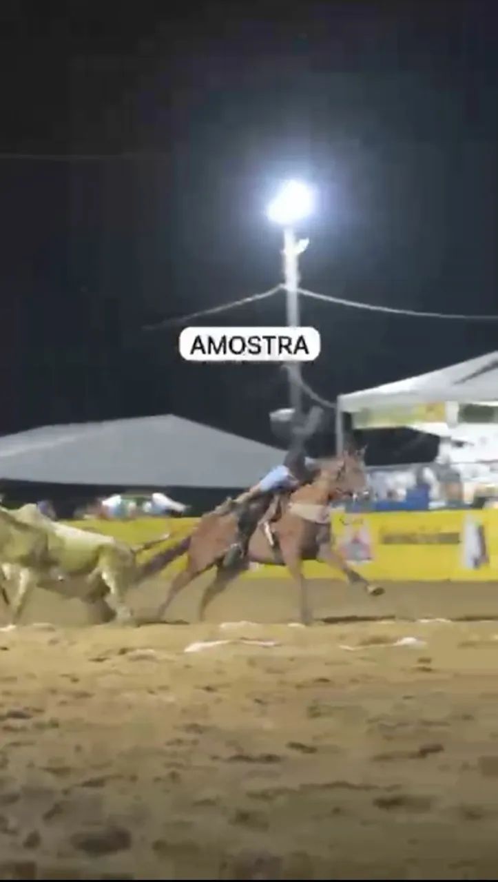 Égua de direita  - Foto 2