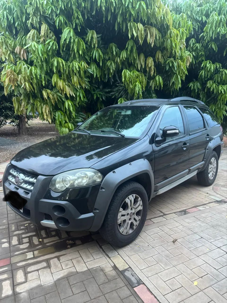 Fiat Palio Palio Weekend Adventure LOCKER 1.8 Flex 2010