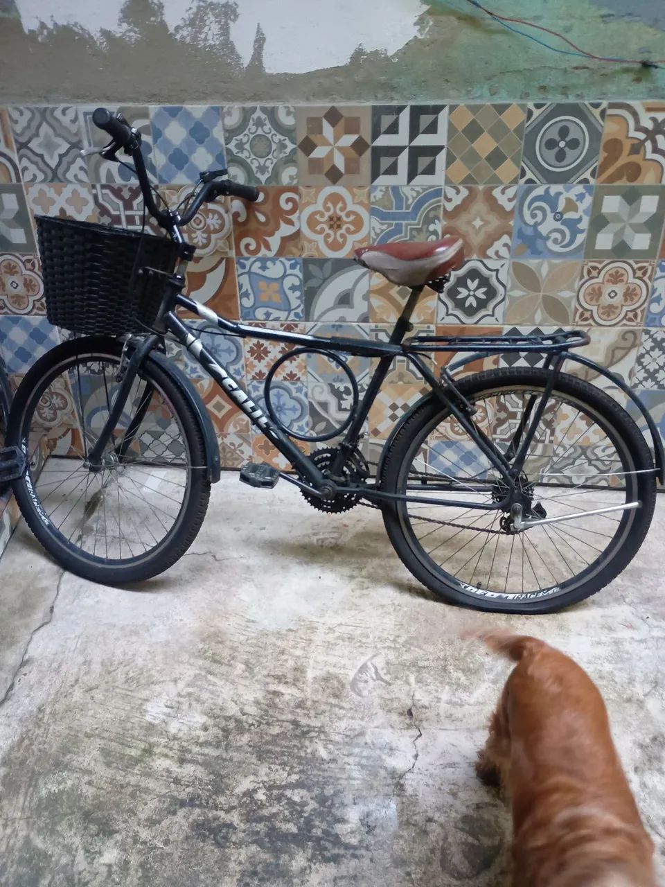 Bicicleta  - Foto 2